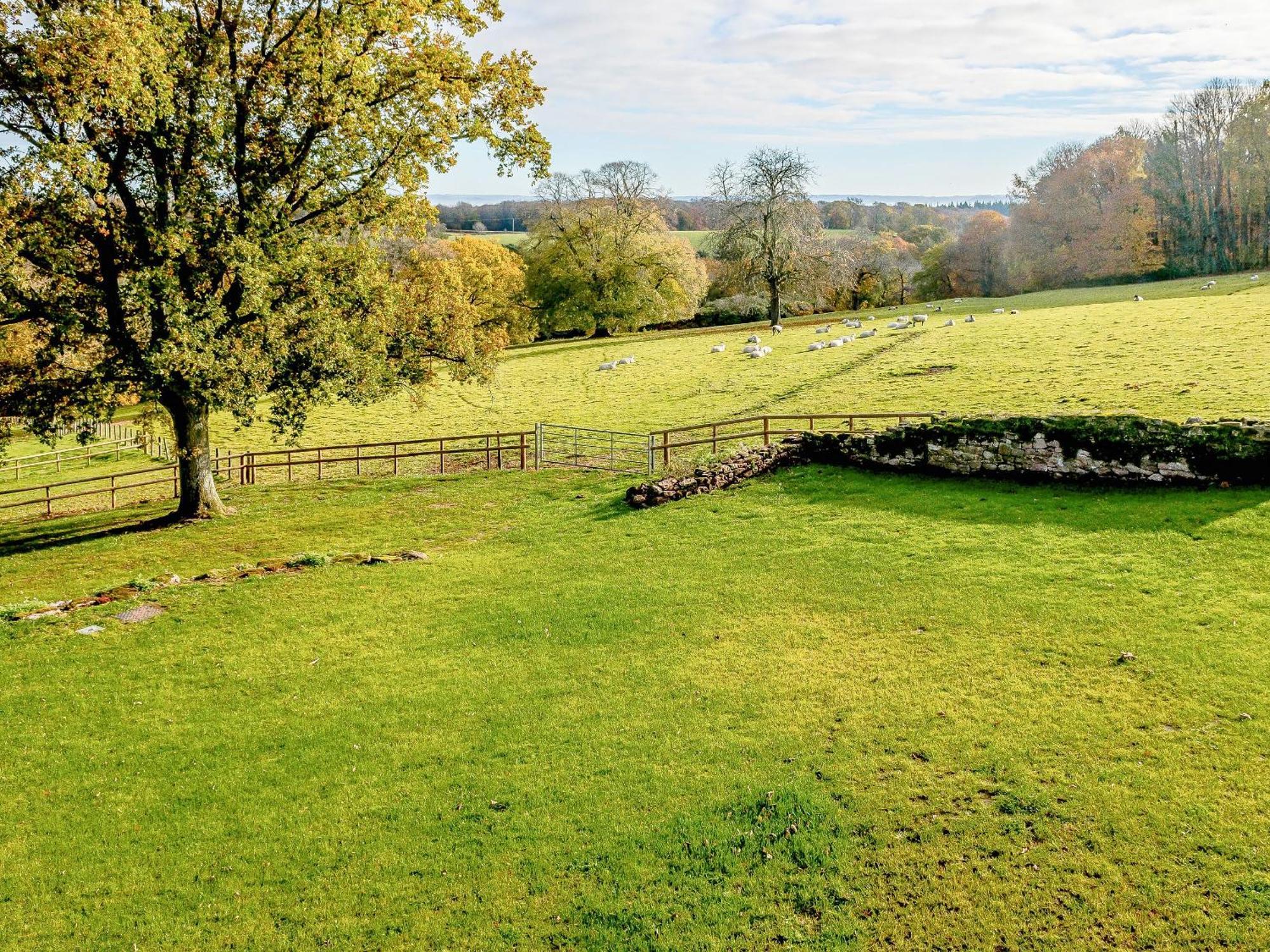 Owl Barn -- Uk30757 Villa Bream ภายนอก รูปภาพ